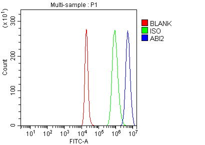 a04302 abi2 primary antibodies fcm testing 5