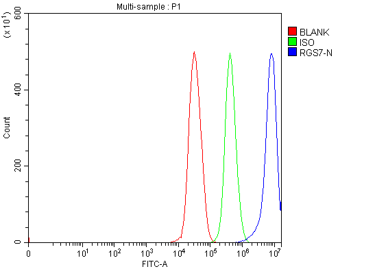  Flow Cytometry analysis of 293T cells using anti-RGS7 antibody (A04305-1)