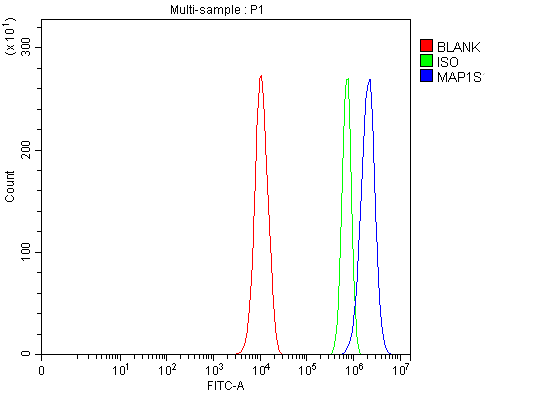 a04308 map1s primary antibodies fcm testing 4