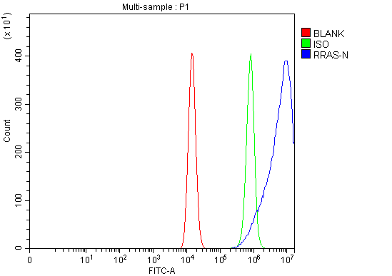  Flow Cytometry analysis of HEL cells using anti-RRAS antibody (A04310-1)