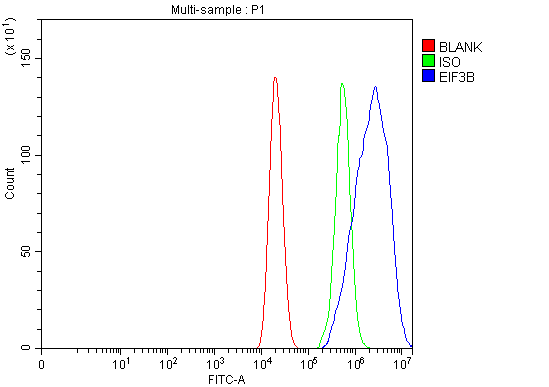 a04318 1 eif3b primary antibodies fcm testing 10