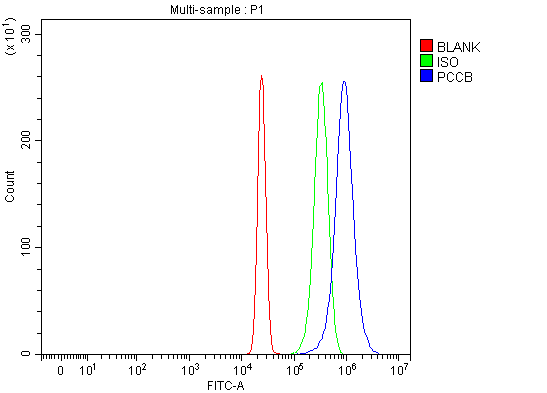 a04326 1 pccb primary antibodies fcm testing 4