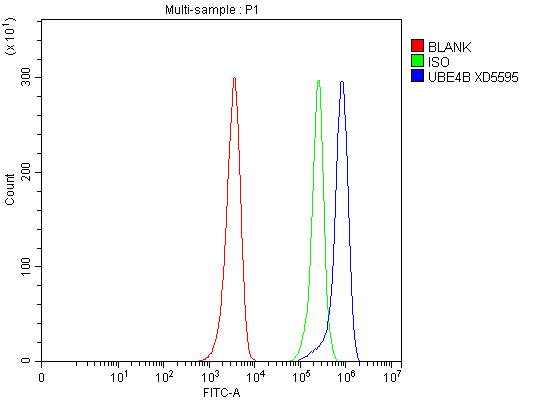 Flow Cytometry analysis of HEL cells using anti-UBE4B antibody (A04338-1)