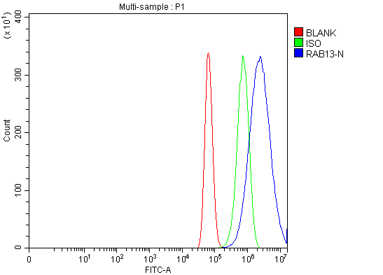  Flow Cytometry analysis of U87 cells using anti-RAB13 antibody (A04339)