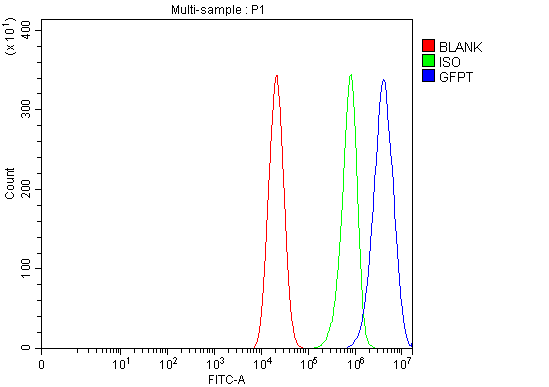 a04341 1 gfpt1 primary antibodies fcm testing 9