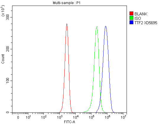 a04344 2 ttf2 primary antibodies fcm testing 1