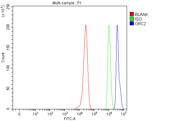 a04350 1 orc2 primary antibodies fcm testing 8