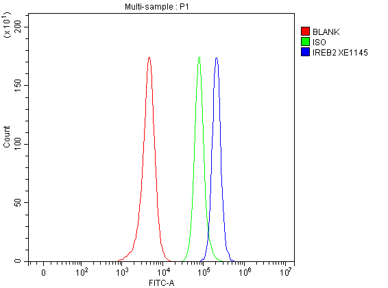 Flow Cytometry analysis of SH-SY5Y cells using anti-IREB2 antibody (A04356-2)