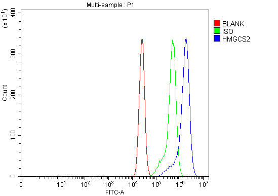 a04371 2 hmgcs2 primary antibodies fcm testing 7