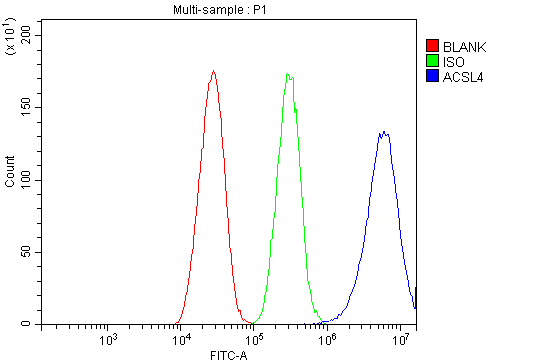 a04372 2 acsl4 primary antibodies fcm testing 5