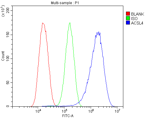 a04372 2 acsl4 primary antibodies fcm testing 6_1