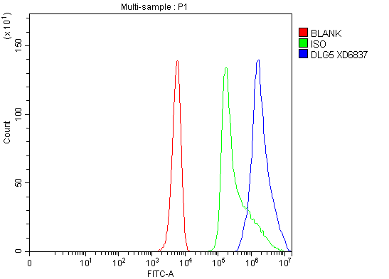 Flow Cytometry analysis of K562 cells using anti-DLG5 antibody (A04374)