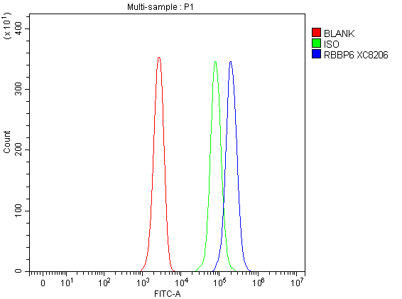 a04382 2 rbbp6 primary antibodies fcm testing 1