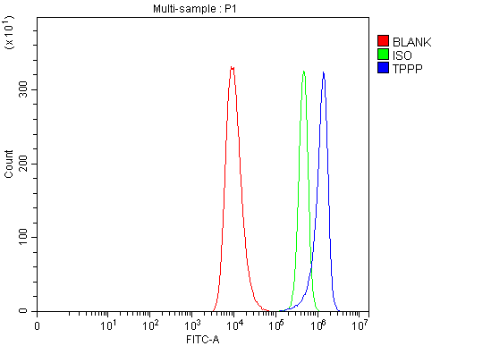  Flow Cytometry analysis of HEL cells using anti-TPPP antibody (A04389-2)