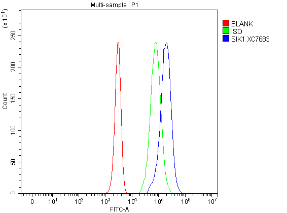 Flow Cytometry analysis of Jurkat cells using anti-SIK1 antibody (A04399-2)