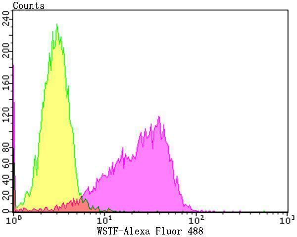a04438 1 baz1b primary antiboties fcm testing 2