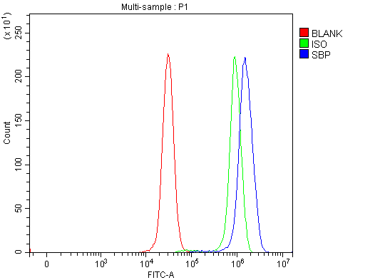 a04444 3 selenbp1 primary antibodies fcm testing 10