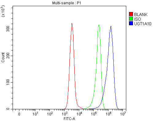 Flow Cytometry analysis of Daudi cells using anti-UGT1A10 antibody (A04459)