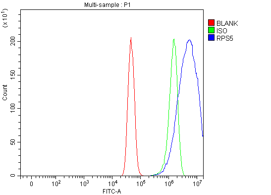 a04460 2 rps5 primary antibodies fcm testing 9