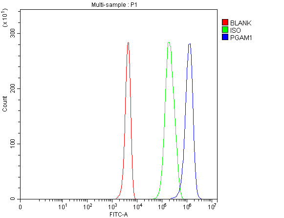 a04470 2 pgam1 primary antibodies fcm testing 1