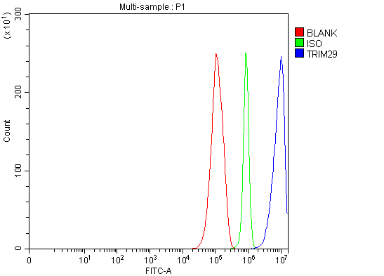  Flow Cytometry analysis of RT4 cells using anti-TRIM29 antibody (A04472-1)