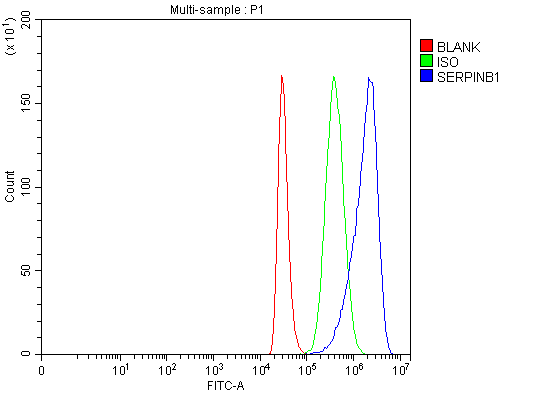a04491 2 serpinb1 primary antibodies fcm testing 4