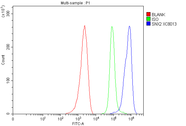 a04493 1 snx2 primary antibodies fcm testing 1