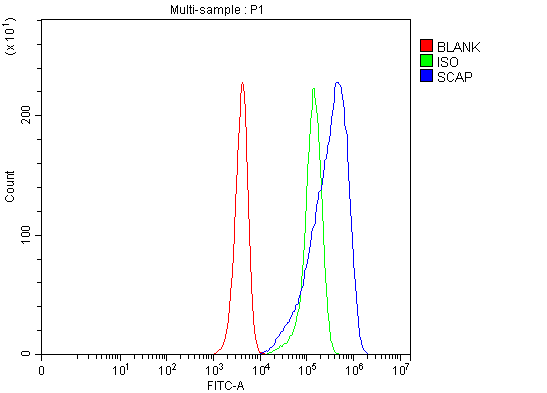 Flow Cytometry analysis of HEPA1-6 cells using anti-SCAP antibody (A04507-1)