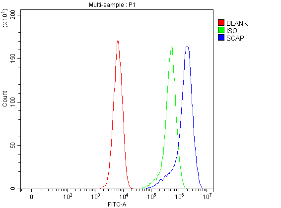 a04507 1 scap primary antibodies fcm testing 3
