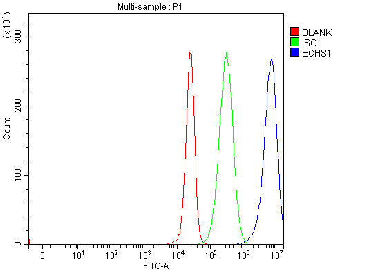a04508 1 echs1 primary antibodies fcm testing 13