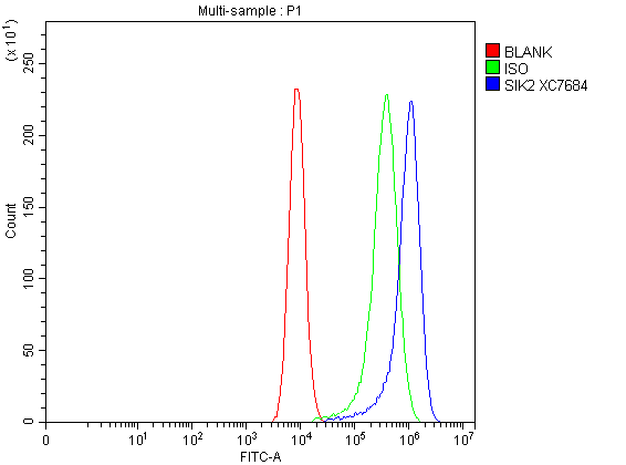 a04515 1 sik2 primary antibodies fcm testing 1
