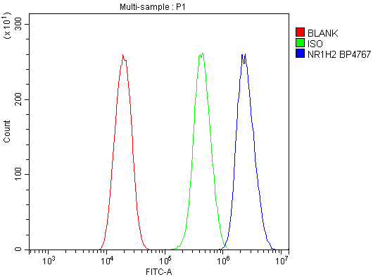  Flow Cytometry analysis of U20S cells using anti-LXR beta/NER/NR1H2 antibody (A04523-2)