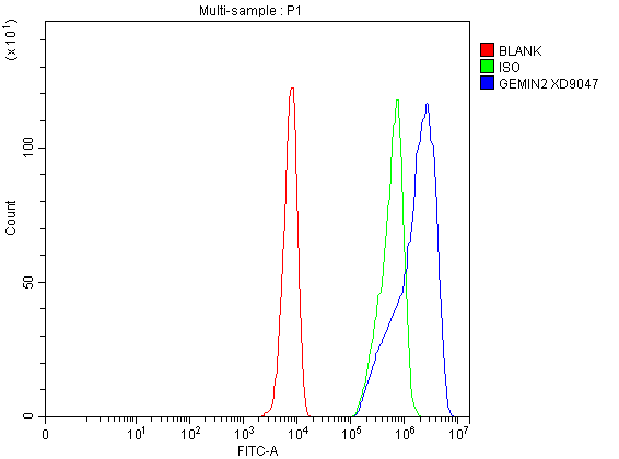 a04530 2 gemin2 primary antibodies fcm testing 1