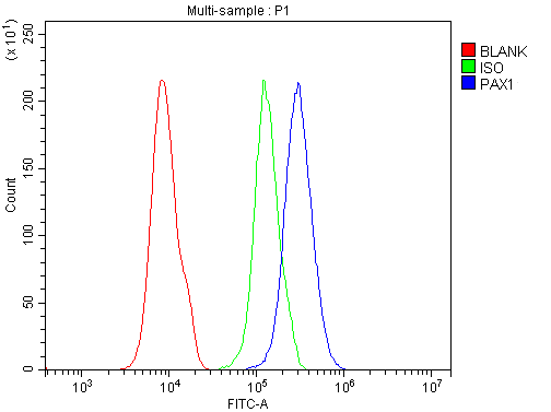 a04559 2 pax1 primary antibodies fcm testing 2