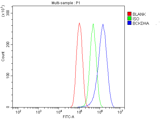 a04561 1 bckdha primary antibodies fcm testing 14