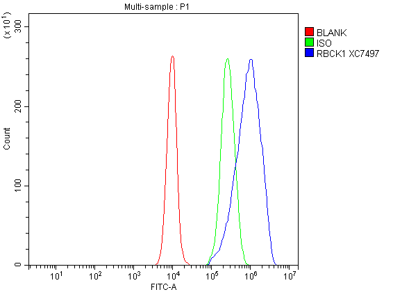 Flow Cytometry analysis of A431 cells using anti-RBCK1 antibody (A04562-1)