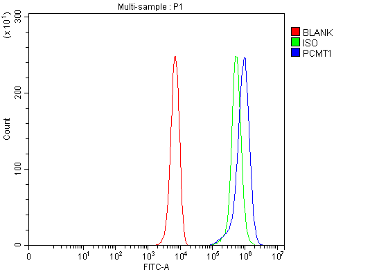 a04579 2 pcmt1 primary antibodies fcm testing 10