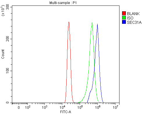 a04582 sec31a primary antibodies fcm testing 16