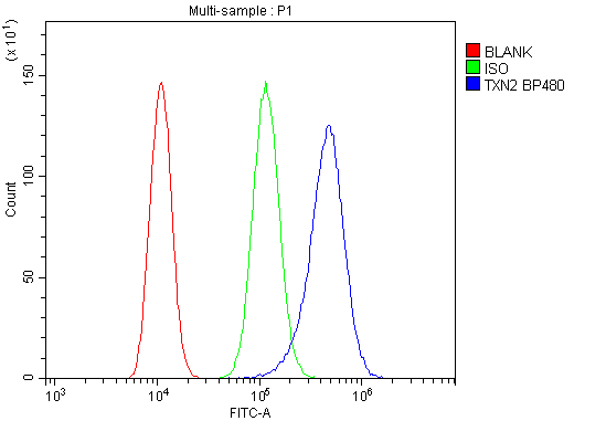 a04586 1 txn2 primary antibodies fc testing 12