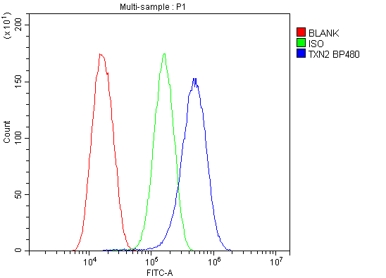 a04586 1 txn2 primary antibodies fc testing 13