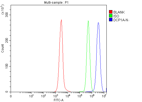  Flow Cytometry analysis of Daudi cells using anti-DCP1A antibody (A04587-2)