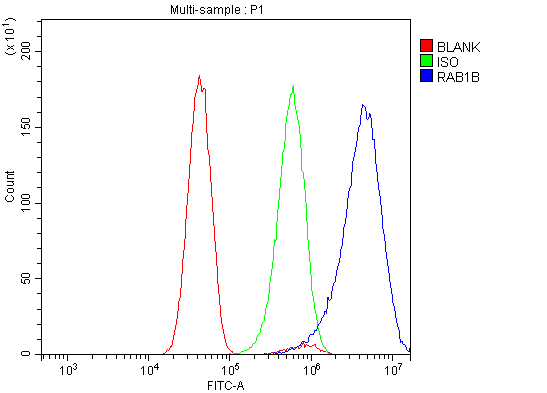 a04589 1 rab1b primary antibodies fcm testing 9