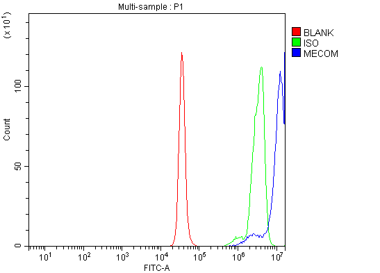 Flow Cytometry analysis of K562 cells using anti-EVI1/MECOM antibody (A04590-1)