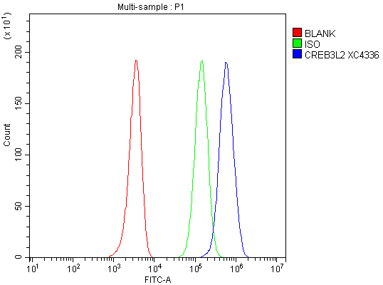 a04591 1 creb3l2 primary antibodies fcm testing 4