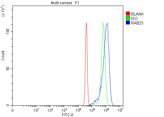  Flow Cytometry analysis of SiHa cells using anti-RAB23 antibody (A04593-2)