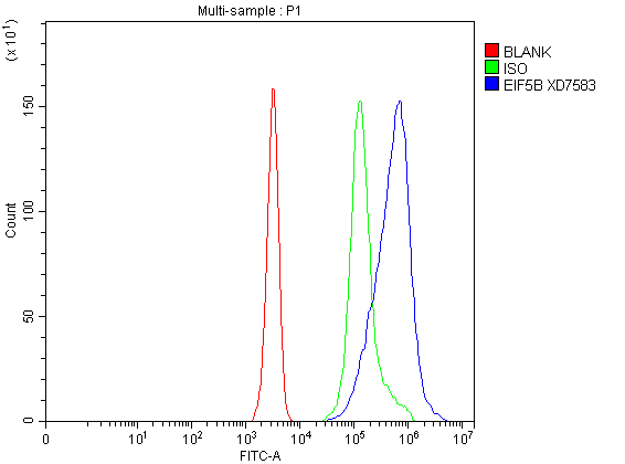 a04604 1 eif5b primary antibodies fcm testing 1