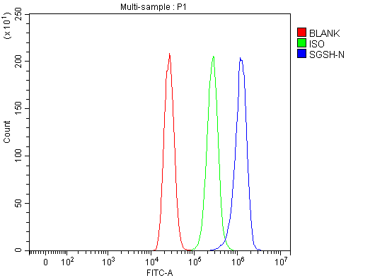 a04608 1 sgsh primary antibodies fcm testing 1