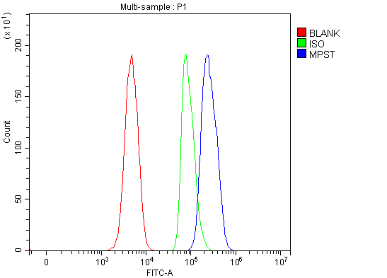  Flow Cytometry analysis of SH-SY5Y cells using anti-MPST antibody (A04609-1)