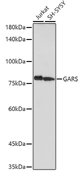 a04618 gars primary antiboties wb testing 1