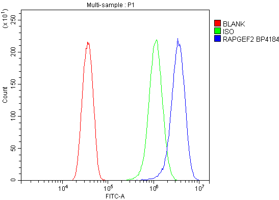 a04621 1 rapgef2 primary antibodies fcm testing 2